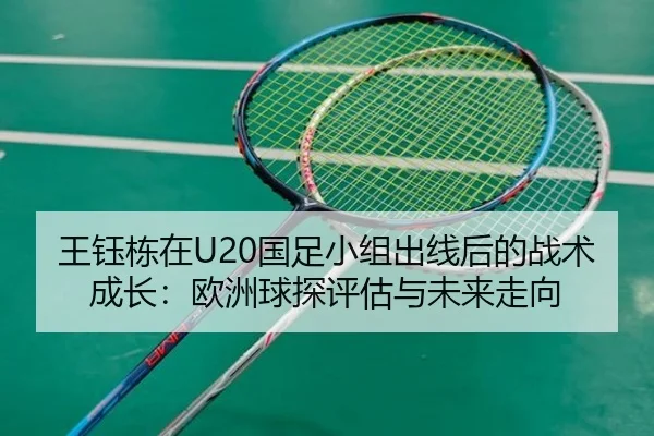 wang-yu-dong-zai-guo-zu-xiao-zu-chu-xian-hou-de-zhan-shu-cheng-zhang-ou-zhou-qiu-tan-ping-gu-yu-wei-lai-zou-xiang-2-849.jpg